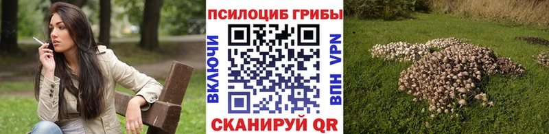 даркнет какой сайт  продажа наркотиков  Кузнецк  Псилоцибиновые грибы мицелий 
